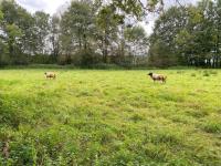 20240929 excursie-visvijver-Mechelen 16