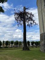 20220625_kasteel Borgharen_22